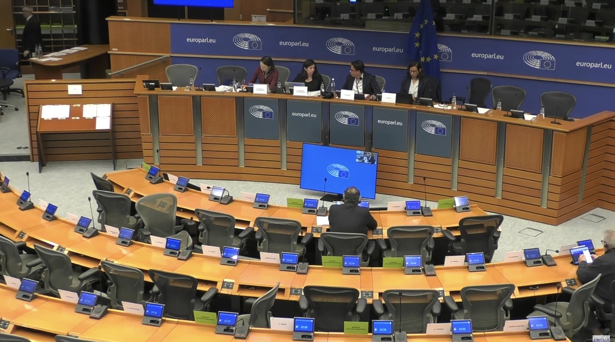 Слушания в подкомитете по правам человека Европейского парламента. Кадр видео Açıq Azərbaycan / YouTube