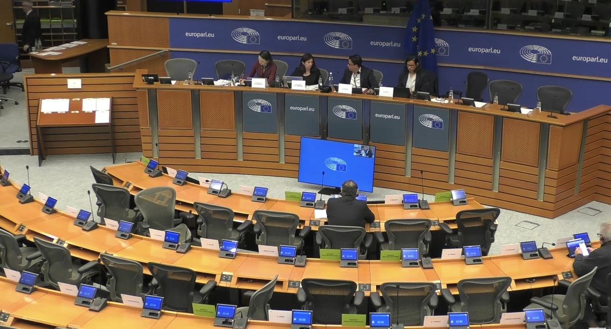 Слушания в подкомитете по правам человека Европейского парламента. Кадр видео Açıq Azərbaycan / YouTube