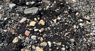 Загрязнение на пляже поселка спортлагеря Электрон. https://t.me/razlivnasvyazi/1106/331235