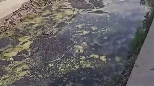 Кадр видеообращения жителей Батайска с жалобой на загрязненное озеро. Фото: Блокнот Ростов-на-Дону / ВКонтакте Кадр видеообращения жителей Батайска с жалобой на загрязненное озеро. Фото: Блокнот Ростов-на-Дону / ВКонтакте