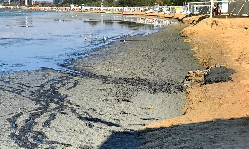 Гниющие водоросли на анапском пляже. Скриншот фото из Telegram-канала «Маковозвы» от 05.09.26 https://t.me/makovozovy/67752.