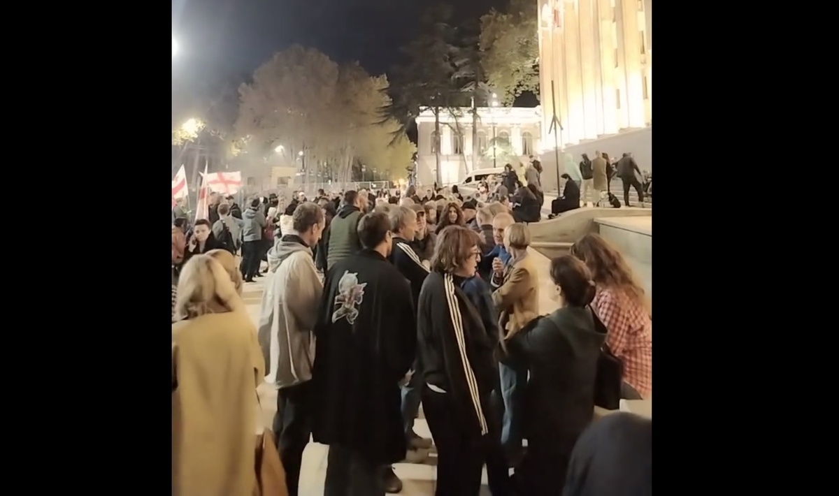 Протестующие у парламента Грузии. Кадр видео Giorgi Mumladze Протестующие у парламента Грузии. Кадр видео Giorgi Mumladze