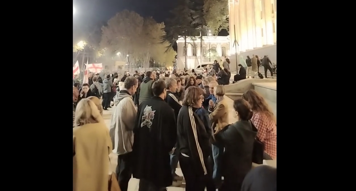 Протестующие у парламента Грузии. Кадр видео Giorgi Mumladze