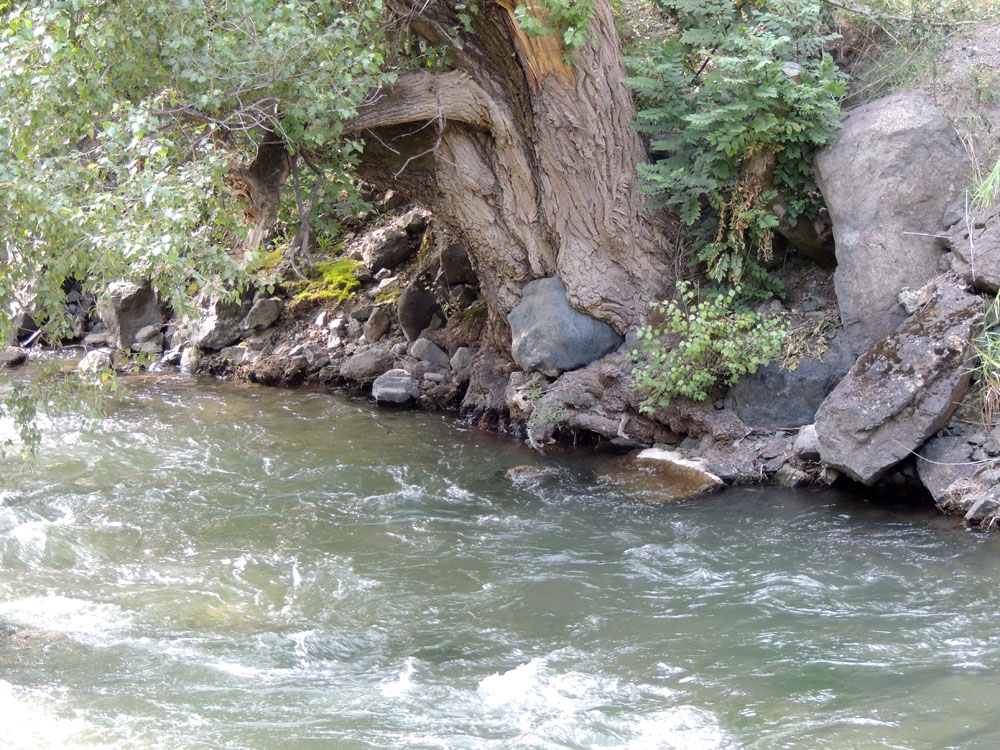 Валун, как плод в чреве матери... Валун, как плод в чреве матери...