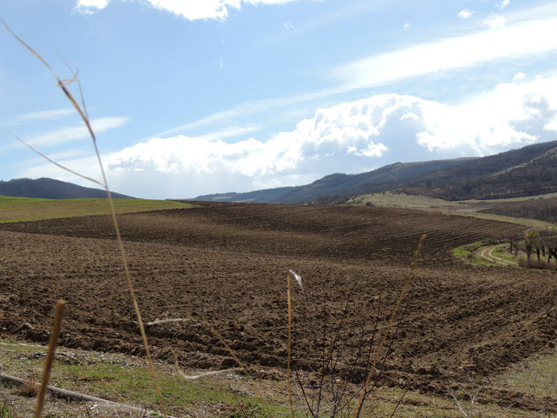 Пашня. Пашня.