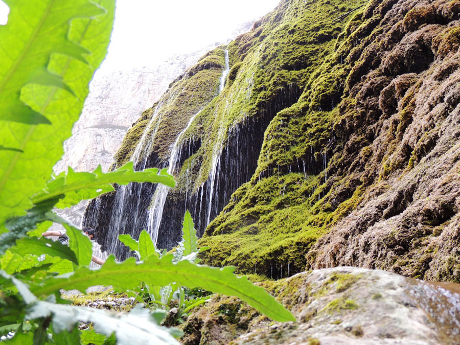 А вот и сам "Зонтик". А вот и сам "Зонтик".