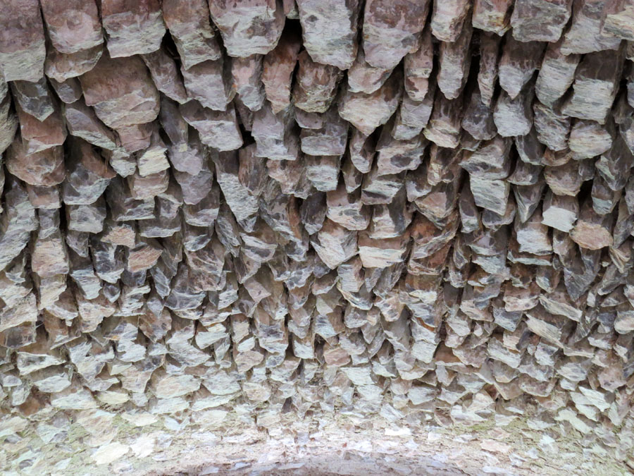 Потолок старинного здания. Летние фотозарисовки. Потолок старинного здания. Летние фотозарисовки.