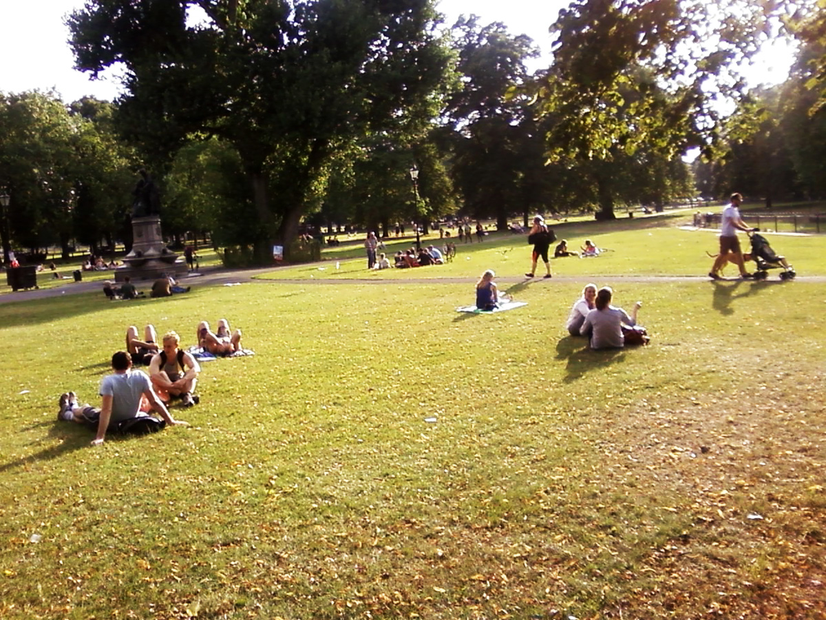 На лужайке. Загорают. На лужайке. Загорают.