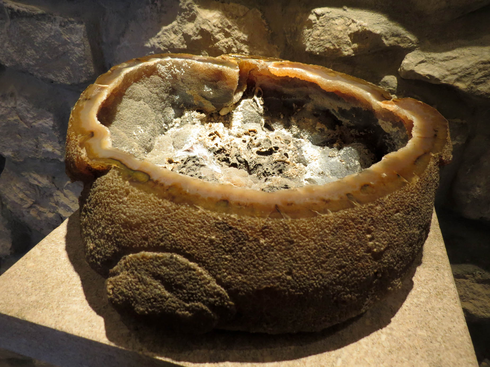 Экспонат геологического музея. Экспонат геологического музея.