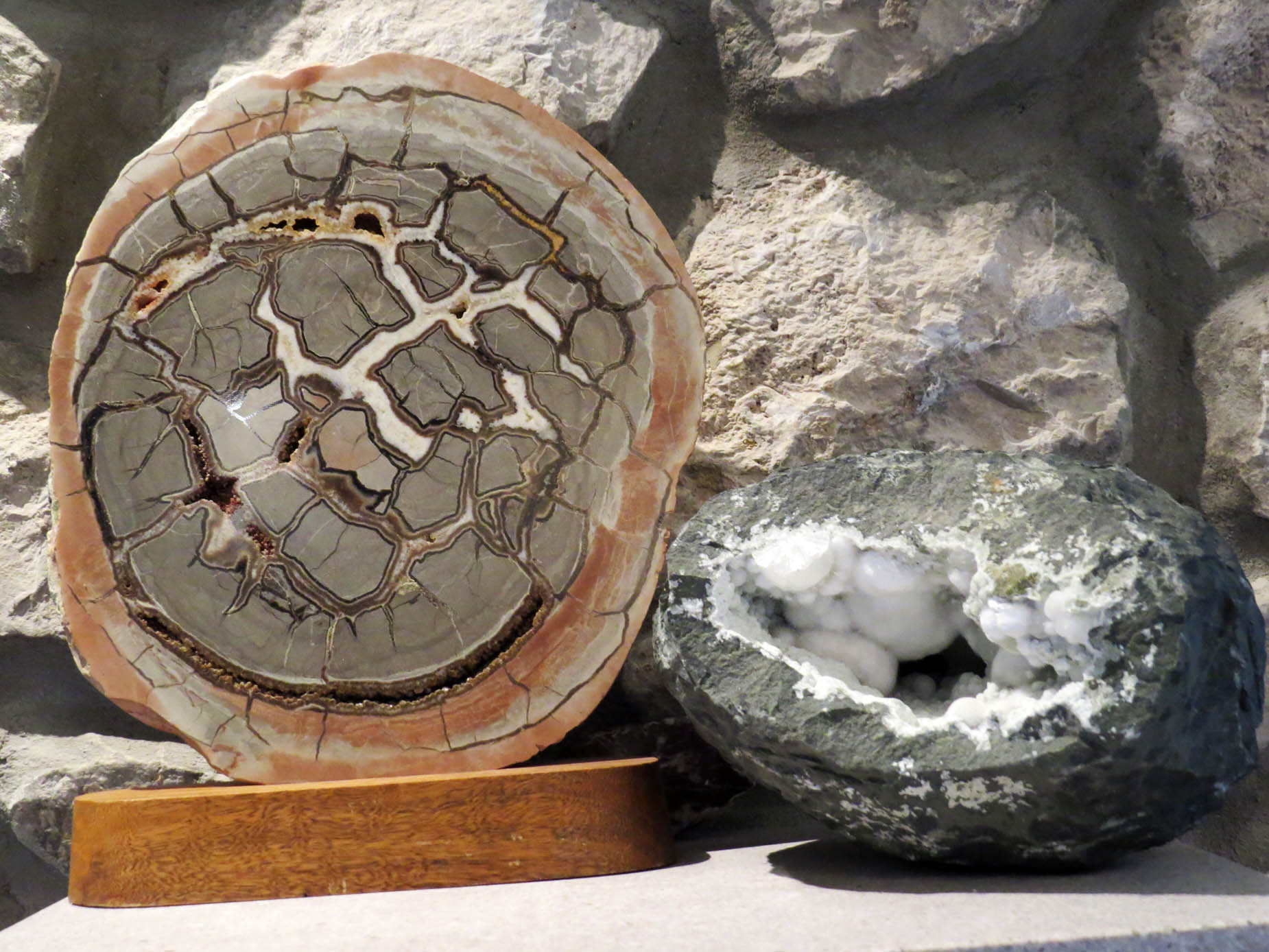 Экспонат геологического музея. Экспонат геологического музея.