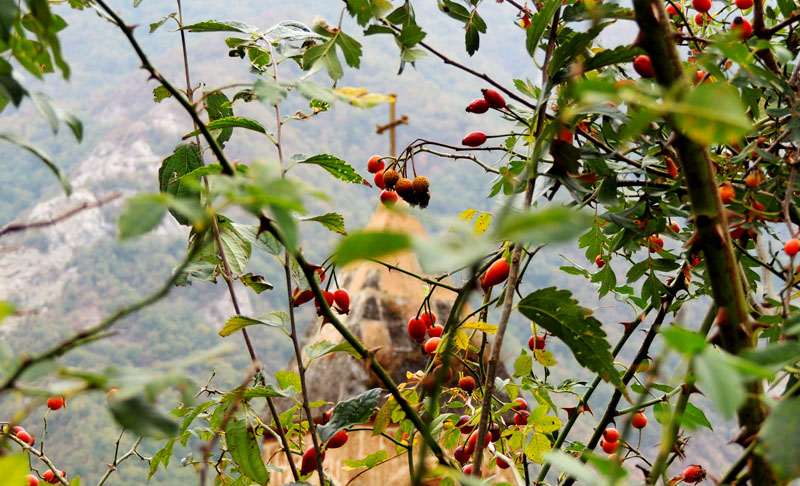 Крест и шиповник. Монастырь Дадиванк (4-6вв.). Крест и шиповник. Монастырь Дадиванк (4-6вв.).