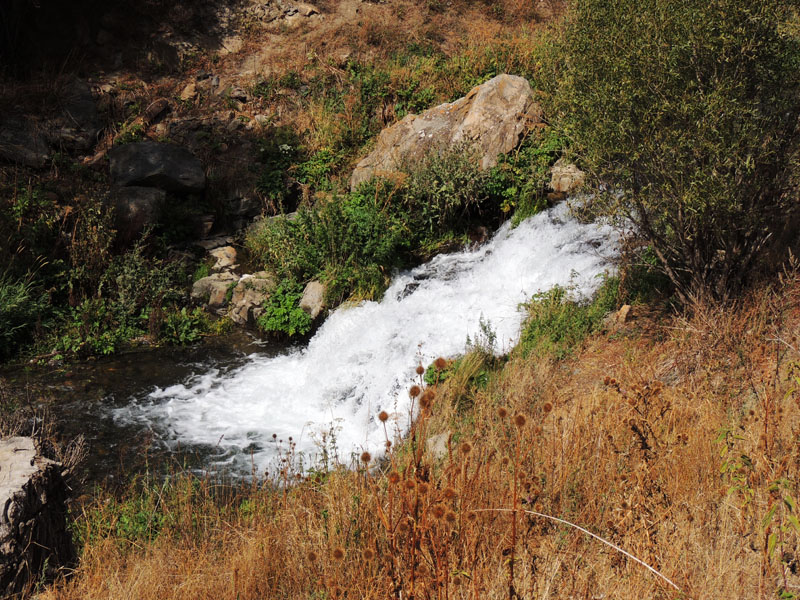 Небольшой рукав реки Воротан. Небольшой рукав реки Воротан.