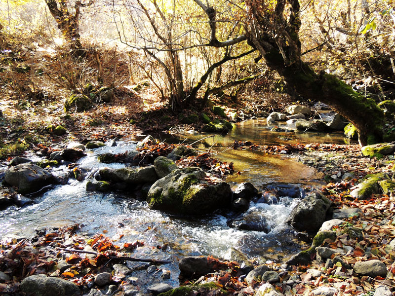 Речка Гарнакар. Речка Гарнакар.