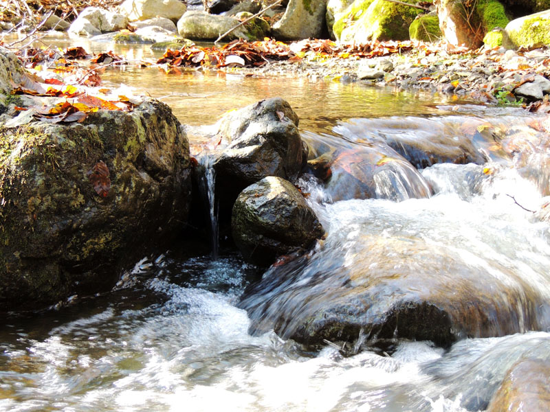 Речка Гарнакар. На пути воды небольшие валуны. Речка Гарнакар. На пути воды небольшие валуны.