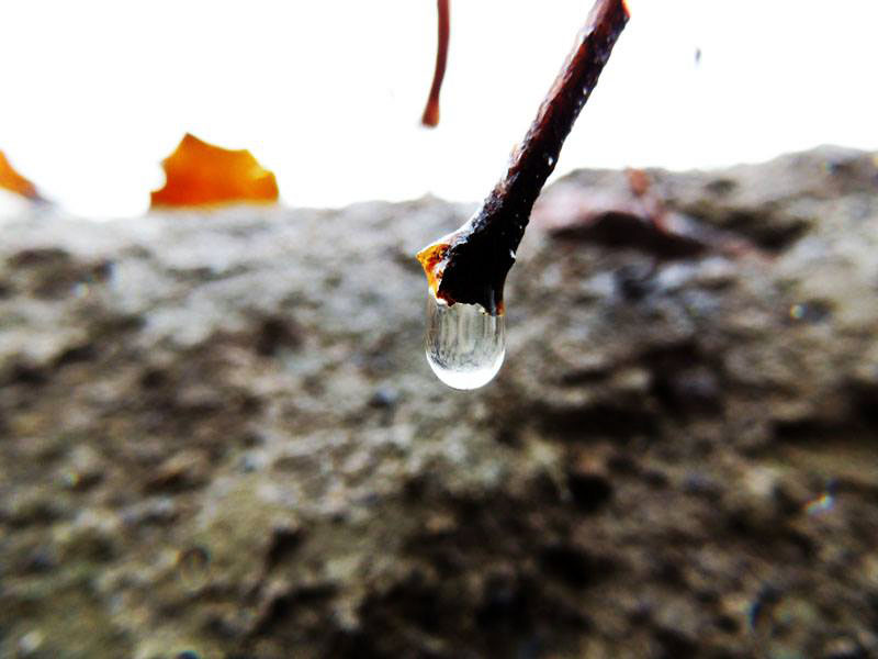 Капля, вот-вот джолжна упасть... Капля, вот-вот джолжна упасть...