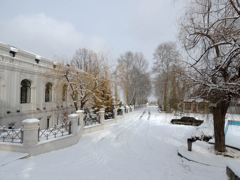 Вид на часть парка им. Нельсона Степаняна.