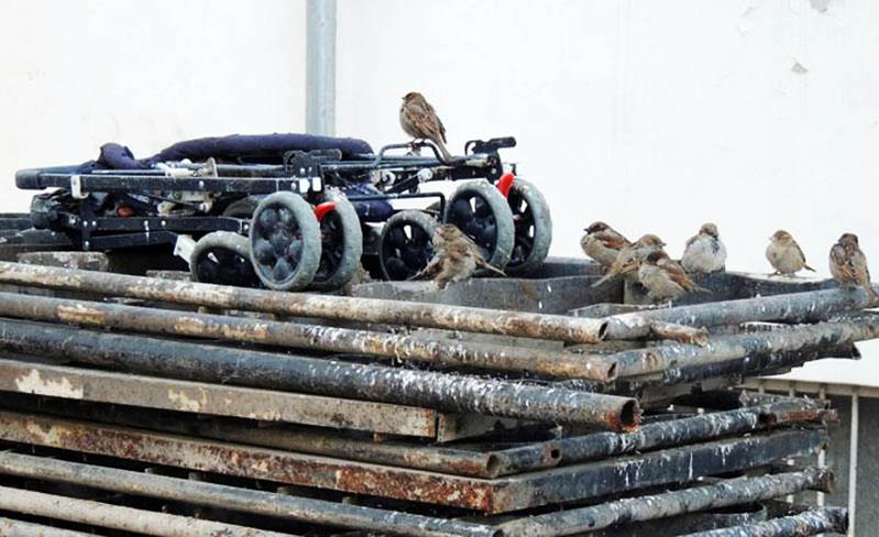 Фото сделано в Степанакерте, в январе 2014 года. Фото сделано в Степанакерте, в январе 2014 года.