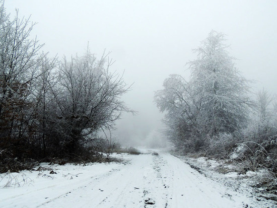 Фото 1. Фото 1.