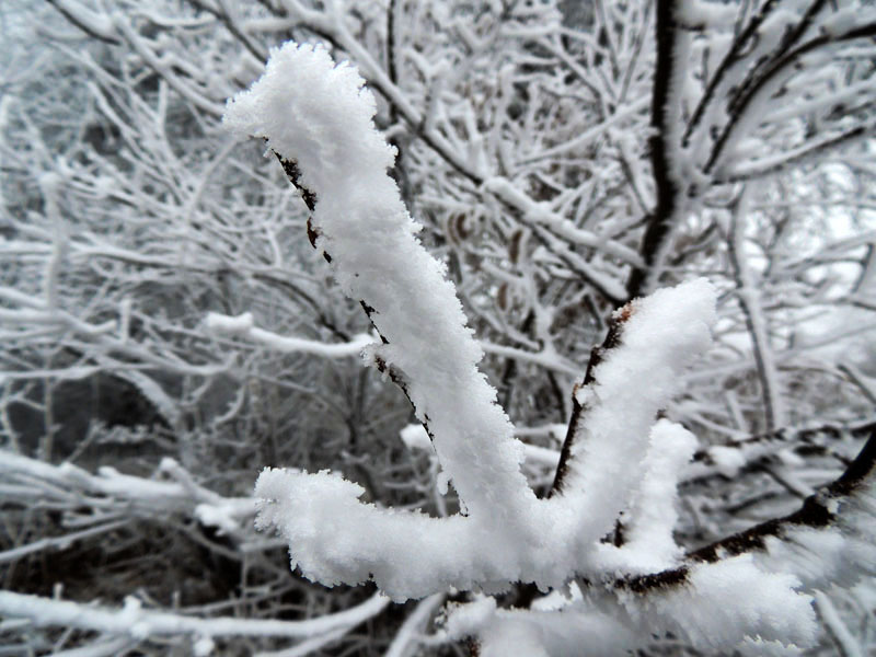 Фото 5. Фото 5.