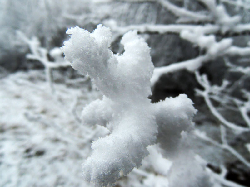 Фото 7. Фото 7.