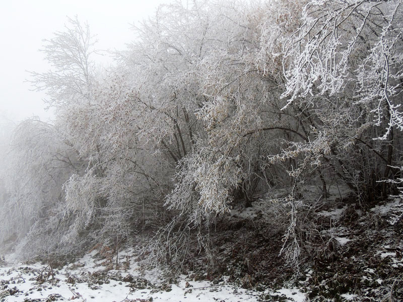 Фото 10. Фото 10.