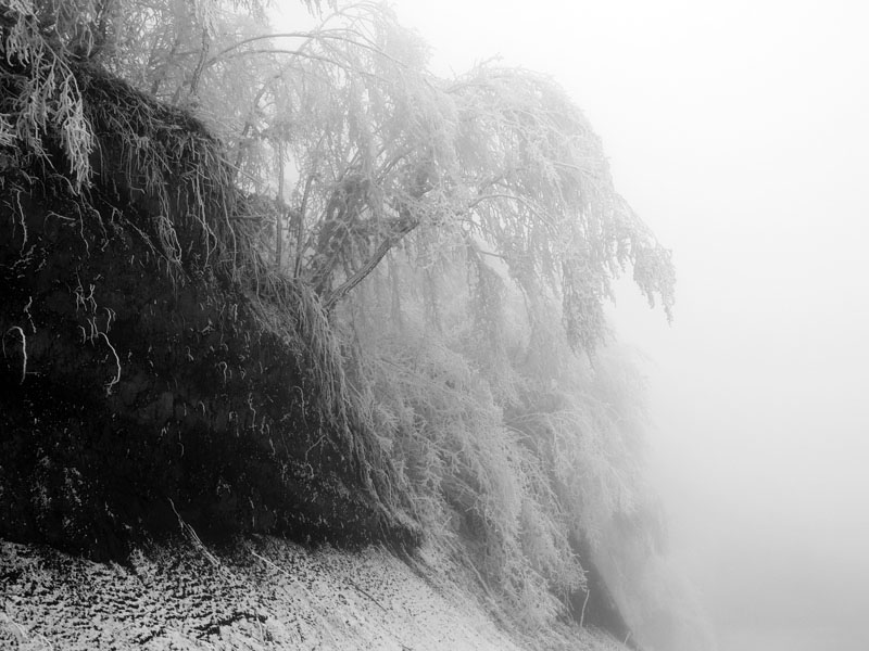 Фото 14. Фото 14.