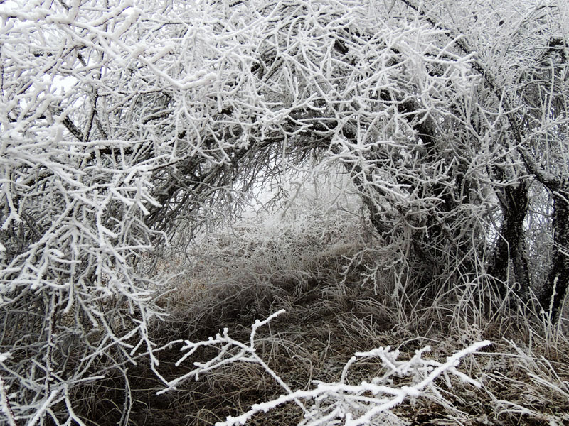 Фото 21. Обычная фотосъёмка. Фото 21. Обычная фотосъёмка.