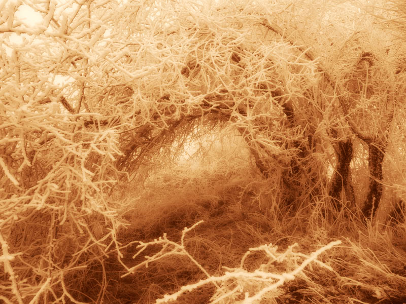 Фото 23. Ностальгическая сепия. Фото 23. Ностальгическая сепия.