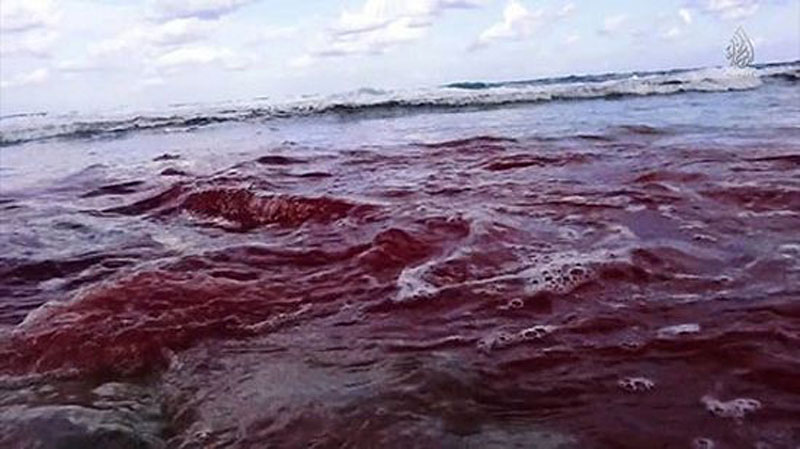 После казни... После казни...