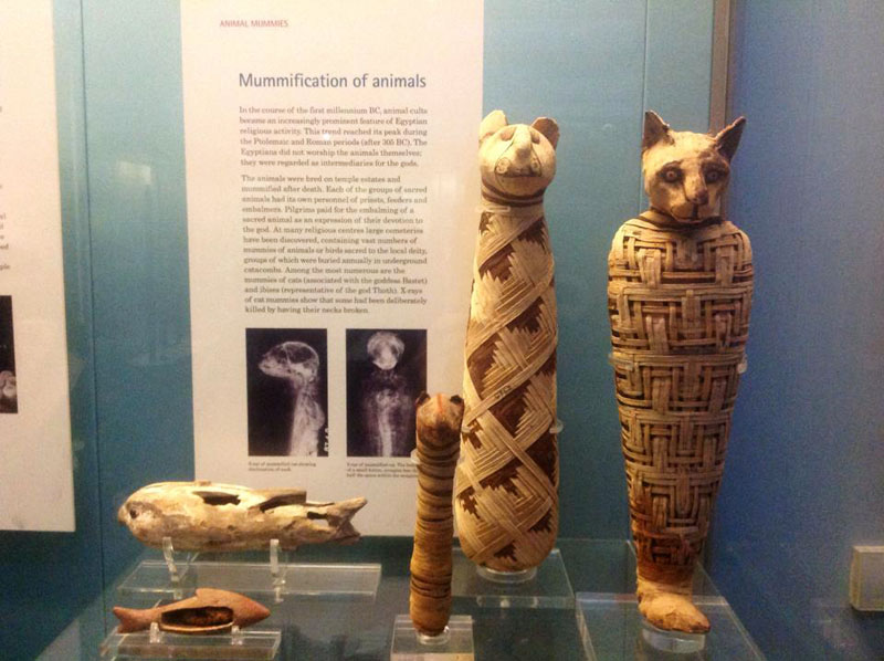 Лондон. В музее Британии. Мумии. Лондон. В музее Британии. Мумии.