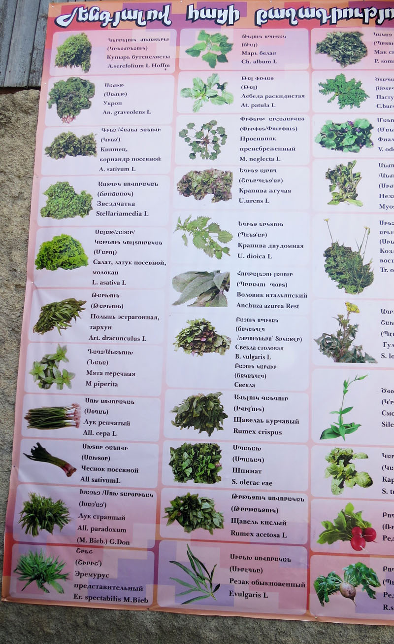 Компоненты, которые закладывают в женгелов ац. Компоненты, которые закладывают в женгелов ац.