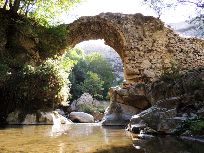 Ущелье Унот. Старый мост 1720г. Ущелье Унот. Старый мост 1720г.