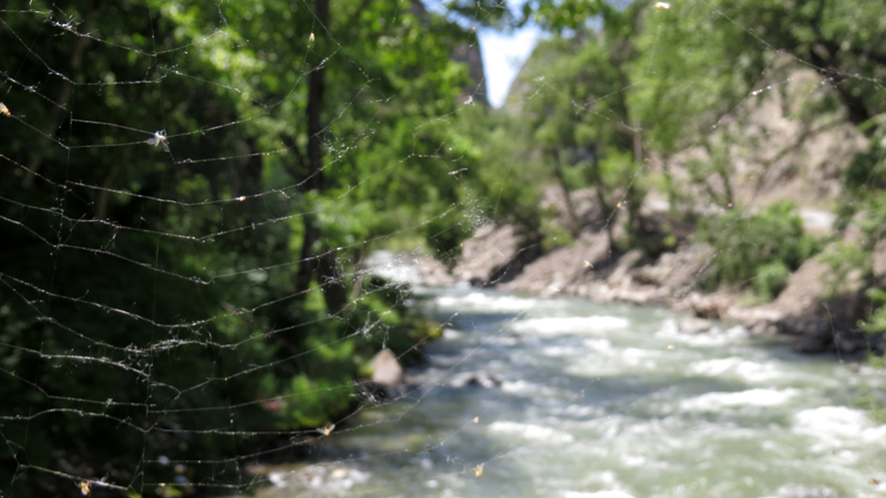 Июньские фотозарисовки. Июньские фотозарисовки.