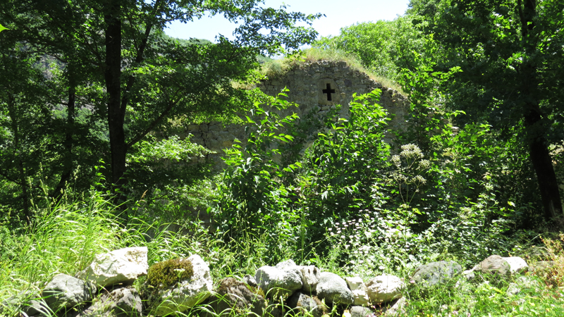 Июньские фотозарисовки. Июньские фотозарисовки.