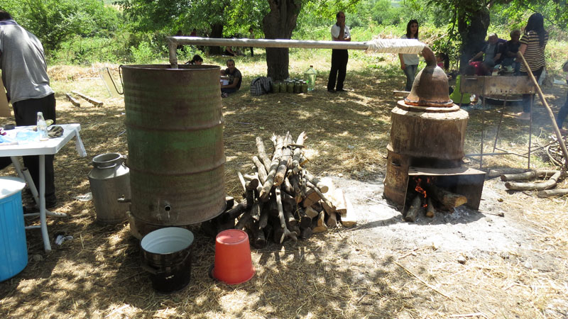 Аппарат для приготовления тутовой водки. Аппарат для приготовления тутовой водки.
