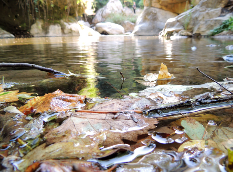Ты можешь быть мягкой и жестокой... Ты можешь быть мягкой и жестокой...