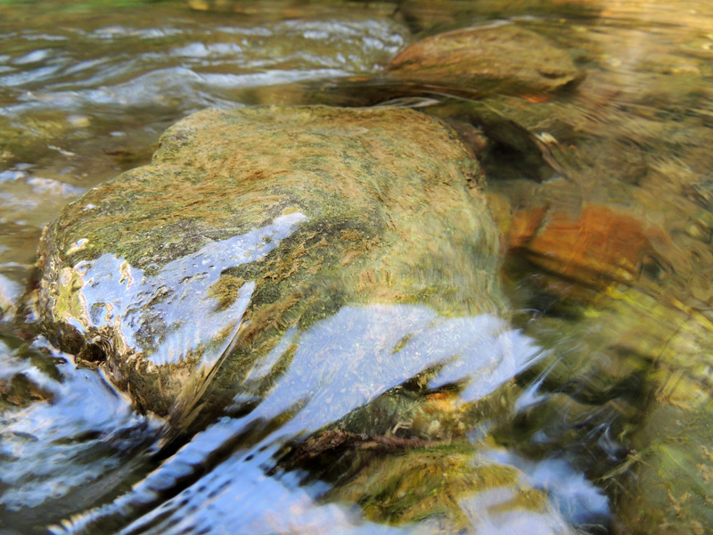 Ты можешь быть мягкой и жестокой... Ты можешь быть мягкой и жестокой...