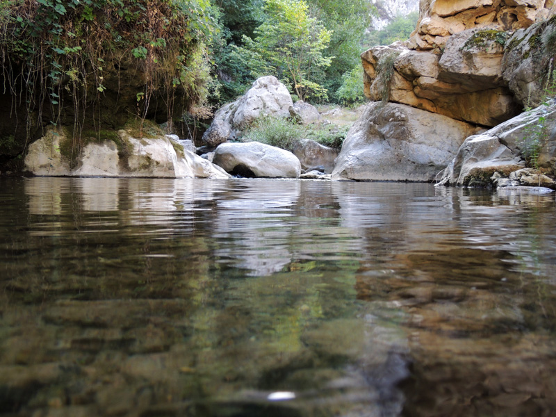 Ты можешь быть мягкой и жестокой... Ты можешь быть мягкой и жестокой...