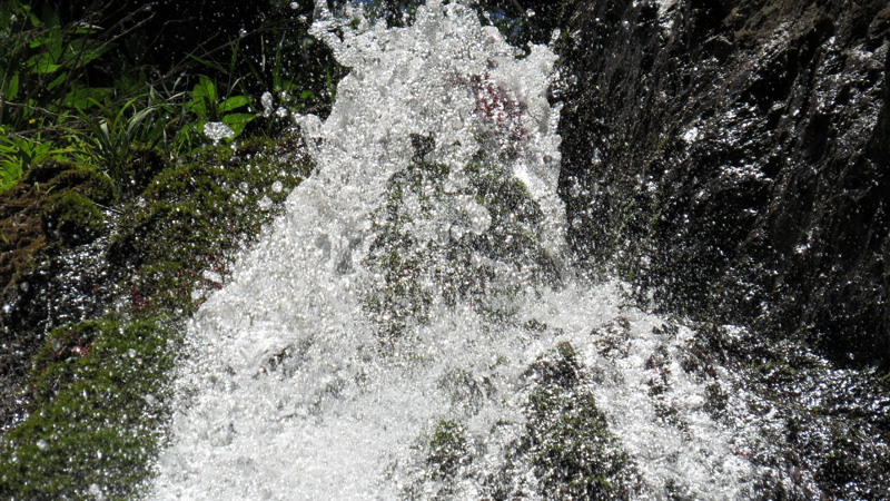 Ты можешь быть мягкой и жестокой... Ты можешь быть мягкой и жестокой...