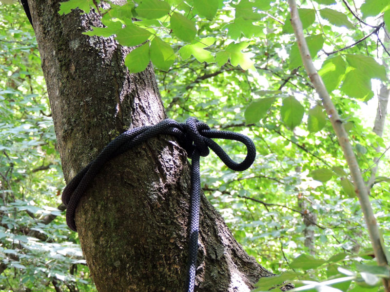 Узел Фотозарисовка. Узел Фотозарисовка.