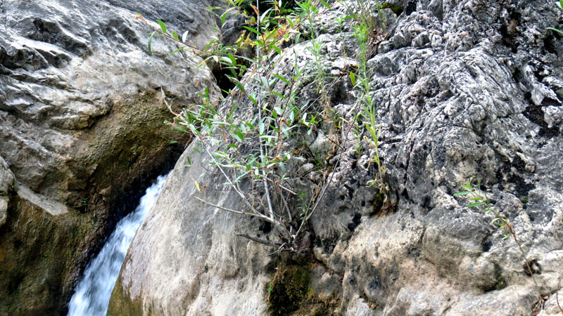 Зарисовка 5. Зарисовка 5.