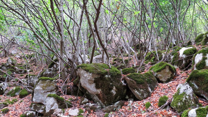 Ущелье Унот 25. Ущелье Унот 25.