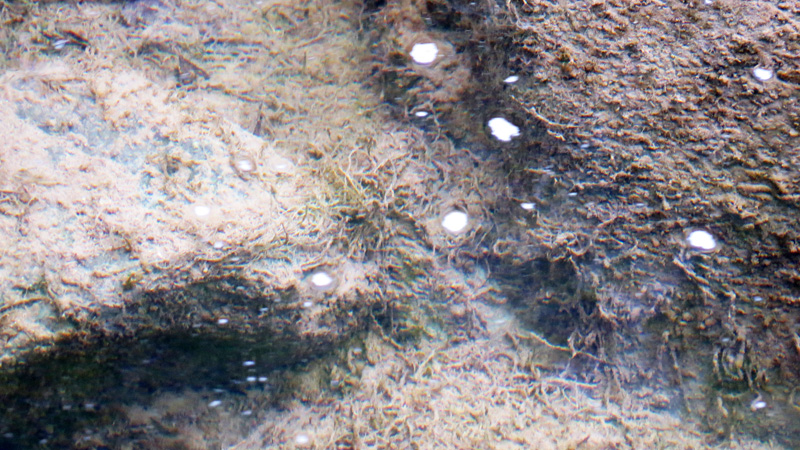 Ущелье Унот 30. Ущелье Унот 30.