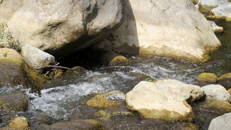 Ущелье Унот 40. Ущелье Унот 40.