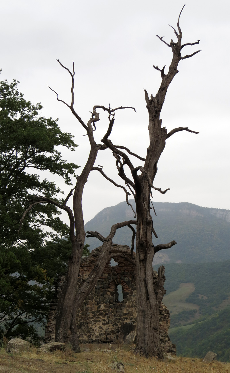 Безмолвные охранники монастыря Кармих хач  11 век.