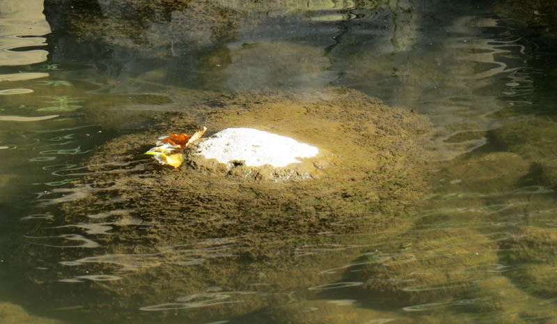 Осенний листочек на островке. Осенний листочек на островке.