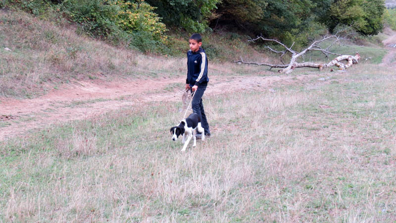 Повстречался пацан с собакой по имени (не кличке) Чалка. Повстречался пацан с собакой по имени (не кличке) Чалка.