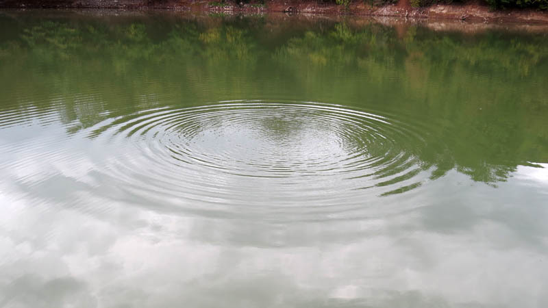 Круги на воде. Круги на воде.