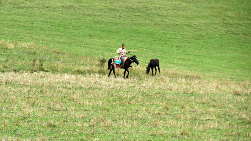 Деревенский всадник. Деревенский всадник.