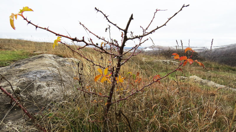 Сюжет 2. Сюжет 2.